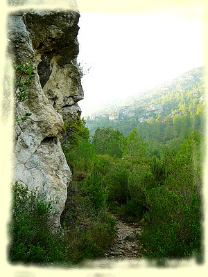 Randonnée Parc des Bruyères - Vallon de l'Evêque - Les Randos de Loulou
