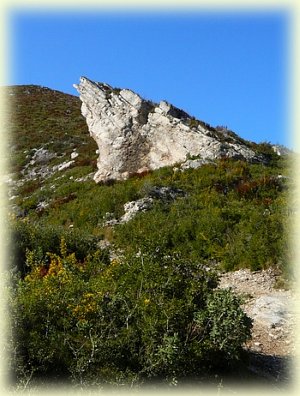 Randonnée Parc Calanques - Massif Saint-Cyr - Les Randos de Loulou