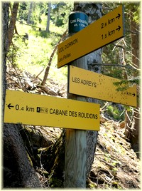 Randonnée la forêt des Roudons - Les Randos de Loulou