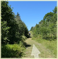 Retour vers le col d'Ornon, randonnée de la forêt des Roudons - Les Randos de Loulou